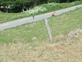 dscf3648