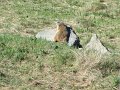 dscf3676