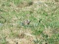 dscf3677