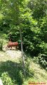 2017-06-13-photo-00000191
