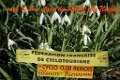 2017-03-12-sacy